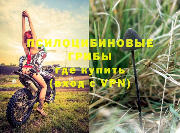 мдпв Сатка