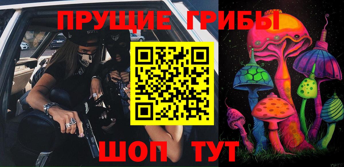 Псилоцибиновые грибы Psilocybe  Вход с VPN  Заринск 